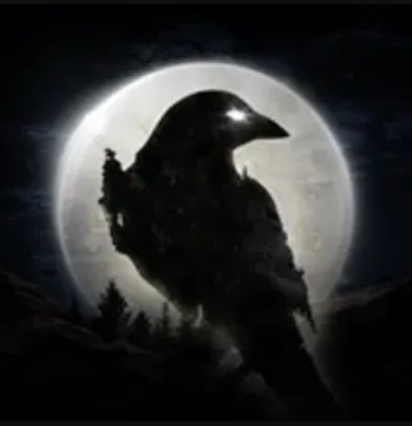 Night Crows via Link Topmur